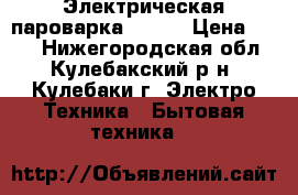 Электрическая пароварка Triza › Цена ­ 600 - Нижегородская обл., Кулебакский р-н, Кулебаки г. Электро-Техника » Бытовая техника   